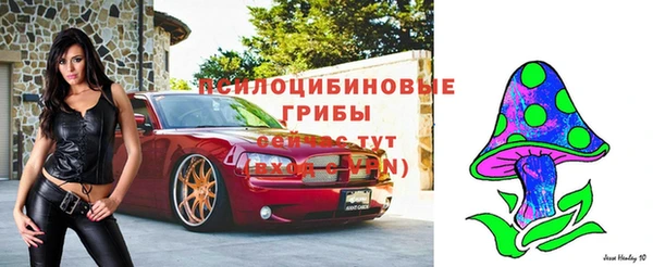 ALPHA PVP Белокуриха