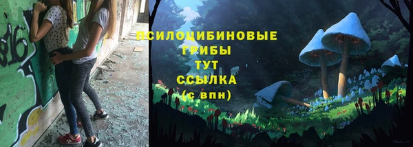 ALPHA PVP Белокуриха