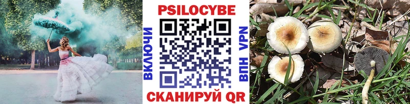 Галлюциногенные грибы Psilocybine cubensis  Дивногорск 